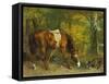 Pferd Im Walde, 1863-Gustave Courbet-Framed Stretched Canvas