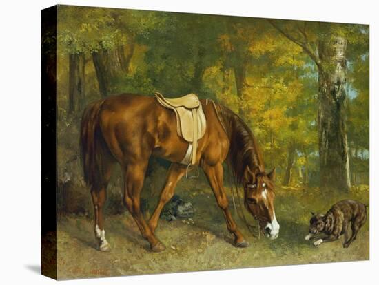 Pferd Im Walde, 1863-Gustave Courbet-Stretched Canvas