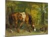 Pferd Im Walde, 1863-Gustave Courbet-Mounted Giclee Print