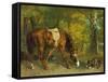 Pferd Im Walde, 1863-Gustave Courbet-Framed Stretched Canvas