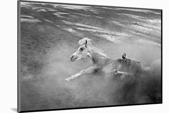 Pferd-Traum 1, 2015-Jaschi Klein-Mounted Photographic Print