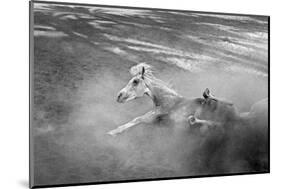 Pferd-Traum 1, 2015-Jaschi Klein-Mounted Photographic Print