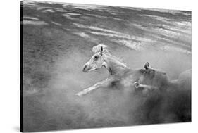 Pferd-Traum 1, 2015-Jaschi Klein-Stretched Canvas