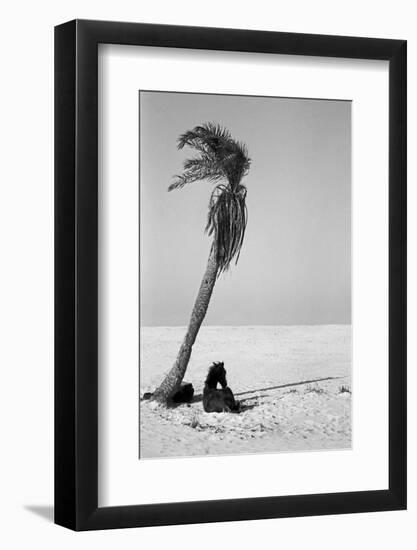 Pferd-Traum 2, 2015-Jaschi Klein-Framed Photographic Print