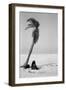 Pferd-Traum 2, 2015-Jaschi Klein-Framed Photographic Print