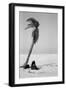 Pferd-Traum 2, 2015-Jaschi Klein-Framed Photographic Print