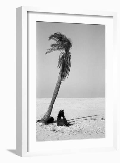 Pferd-Traum 2, 2015-Jaschi Klein-Framed Photographic Print