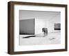 Pferd-Traum 5, 2015-Jaschi Klein-Framed Photographic Print