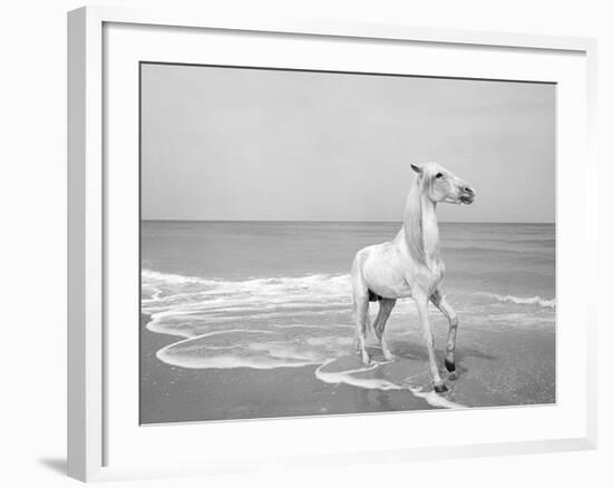 Pferd-Traum 5-Jaschi Klein-Framed Photographic Print