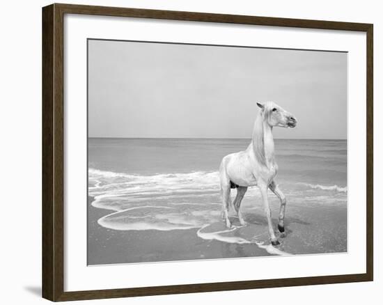 Pferd-Traum 5-Jaschi Klein-Framed Photographic Print