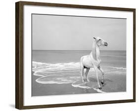 Pferd-Traum 5-Jaschi Klein-Framed Photographic Print