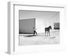 Pferd-Traum 6, 2015-Jaschi Klein-Framed Photographic Print