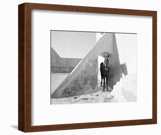 Pferd-Traum 7, 2015-Jaschi Klein-Framed Photographic Print