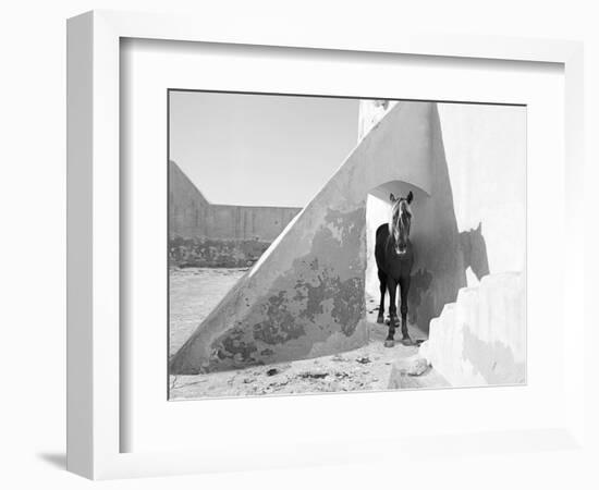 Pferd-Traum 7, 2015-Jaschi Klein-Framed Photographic Print