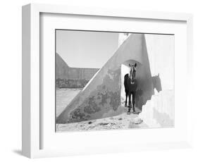 Pferd-Traum 7, 2015-Jaschi Klein-Framed Photographic Print