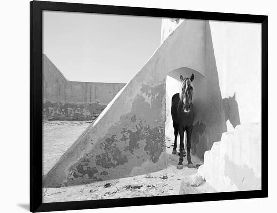 Pferd-Traum 7, 2015-Jaschi Klein-Framed Photographic Print