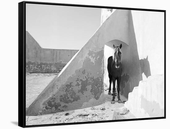 Pferd-Traum 7, 2015-Jaschi Klein-Framed Stretched Canvas