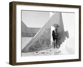 Pferd-Traum 9-Jaschi Klein-Framed Photographic Print