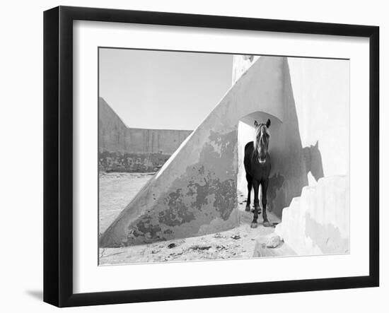 Pferd-Traum 9-Jaschi Klein-Framed Photographic Print