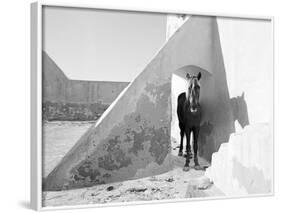 Pferd-Traum 9-Jaschi Klein-Framed Photographic Print