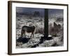 Pferde Im Winterfell Grasen Auf Einer Raureifueberzogenen Weide Am Titisee-Winfried Rothermel-Framed Photographic Print