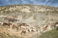 Stampede I-PH Burchett-Laminated Photographic Print