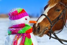Portrait of Horse and Snowman in Winter Landscape.-PH.OK-Photographic Print