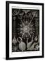 Phaeodaria Radiolarians-Ernst Haeckel-Framed Art Print