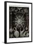 Phaeodaria Radiolarians-Ernst Haeckel-Framed Art Print