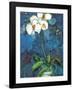 Phalaenopsis I-Connie Tunick-Framed Art Print
