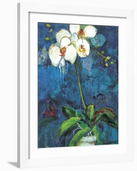 Phalaenopsis I-Connie Tunick-Framed Art Print