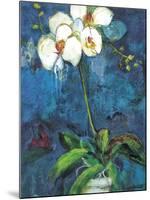 Phalaenopsis I-Connie Tunick-Mounted Art Print