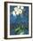 Phalaenopsis I-Connie Tunick-Framed Giclee Print