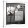 Phalaenopsis I-Kory Fluckiger-Framed Giclee Print