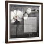 Phalaenopsis I-Kory Fluckiger-Framed Giclee Print