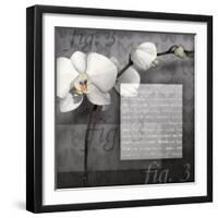 Phalaenopsis I-Kory Fluckiger-Framed Giclee Print