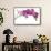 Phalaenopsis Ibrid4-Fabio Petroni-Framed Stretched Canvas displayed on a wall