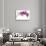 Phalaenopsis Ibrid4-Fabio Petroni-Stretched Canvas displayed on a wall