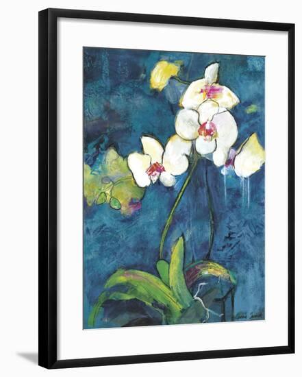 Phalaenopsis II-Connie Tunick-Framed Art Print