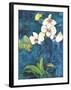 Phalaenopsis II-Connie Tunick-Framed Art Print
