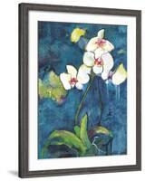 Phalaenopsis II-Connie Tunick-Framed Art Print