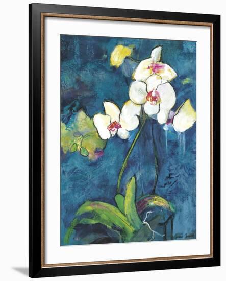 Phalaenopsis II-Connie Tunick-Framed Art Print