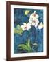 Phalaenopsis II-Connie Tunick-Framed Art Print