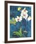 Phalaenopsis II-Connie Tunick-Framed Art Print