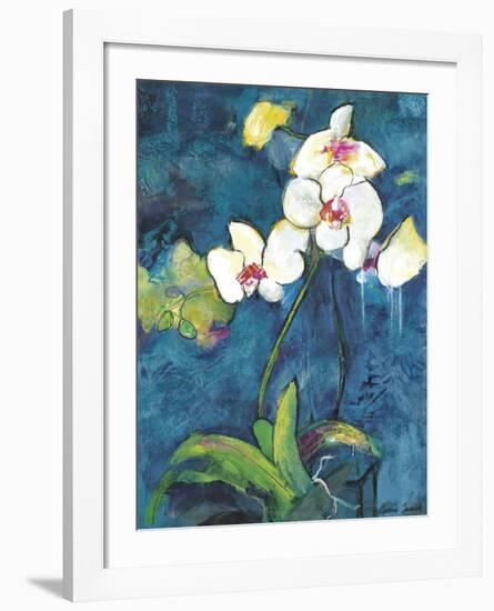 Phalaenopsis II-Connie Tunick-Framed Art Print