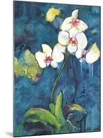 Phalaenopsis II-Connie Tunick-Mounted Art Print