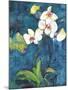 Phalaenopsis II-Connie Tunick-Mounted Art Print