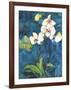 Phalaenopsis II-Connie Tunick-Framed Giclee Print
