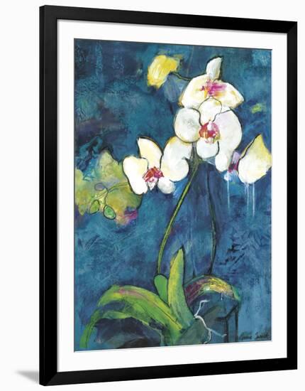 Phalaenopsis II-Connie Tunick-Framed Giclee Print