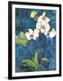 Phalaenopsis II-Connie Tunick-Framed Giclee Print